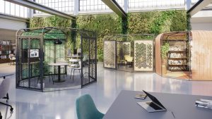 Biophilic office design featuring plants and natural light